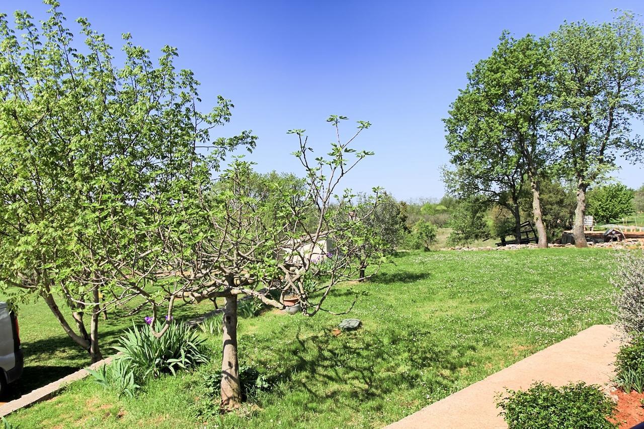 Apartman Eva House With Umag
